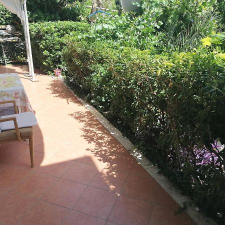 دوبروفينك 1Bedroom Apartment In Lapad المظهر الخارجي الصورة