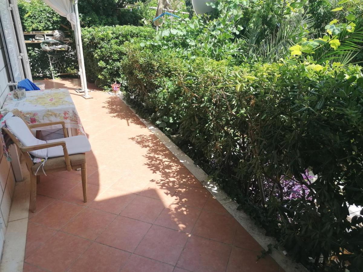 دوبروفينك 1Bedroom Apartment In Lapad المظهر الخارجي الصورة